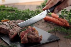 סט סכיני סטייק שיזו